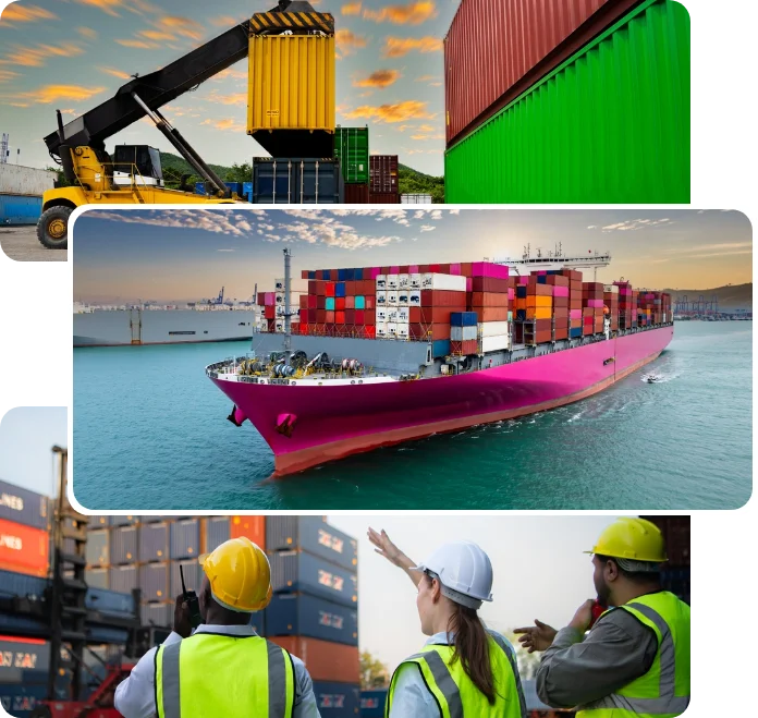 Freight forwarding company in India